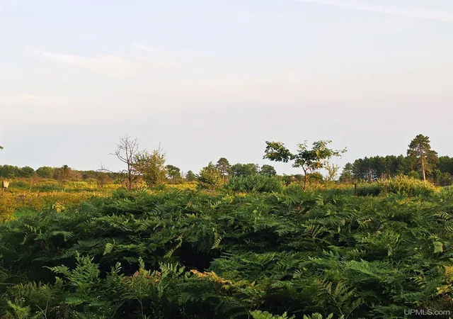 Photo 4 of Land for sale at 1271 Menominee River Rd, Florence, WI 54121 | MLS# 50218460 | Listing updated on 2026-08-13