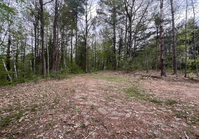 Photo 2 of Land for sale at 8919 E Gladwin Rd, Harrison, MI 48624 | MLS# 50208212 | Listing updated on 2026-07-15