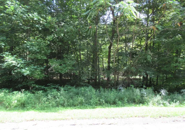 Homes for sale in Cassopolis, MI | Tract 6 Brookside Ct, Cassopolis, MI 49031 | MLS# 70509255