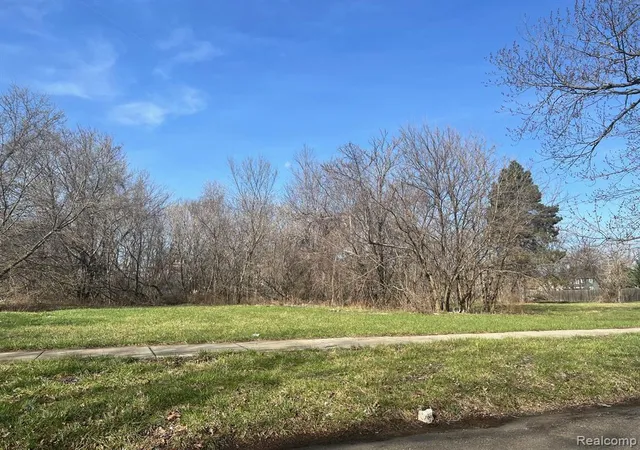 4th image of 3539 Lovett St, Detroit, MI 48210 | MLS# 60382254