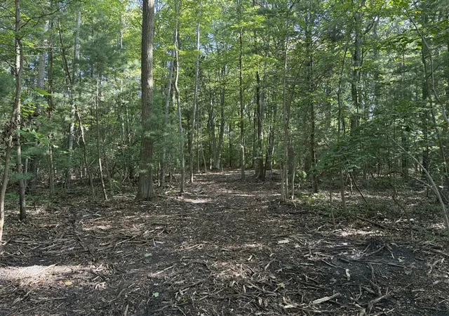 Photo 9 of Land for sale at Vl Par B Buchanan, West Olive, MI 49460 | MLS# 70553503 | Listing updated on 2026-08-28