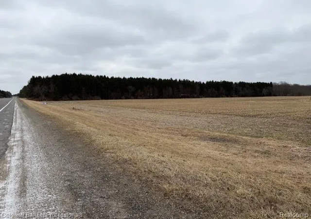Photo 2 of Land for sale at Vl N Branch Rd, North Branch, MI 48461 | MLS# 61018760 | Listing updated on 2026-08-06