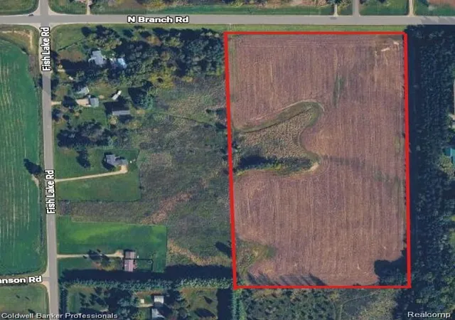 Photo 4 of Land for sale at Vl N Branch Rd, North Branch, MI 48461 | MLS# 61018760 | Listing updated on 2026-08-06