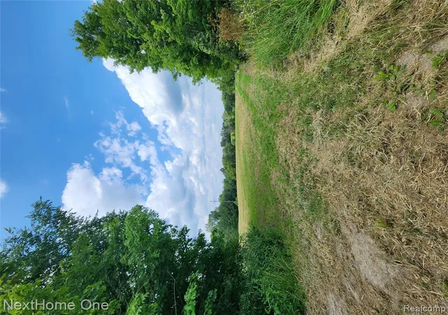 Land for sale at 00 Musson Rd, Howell, MI 48855 | MLS# 61023534