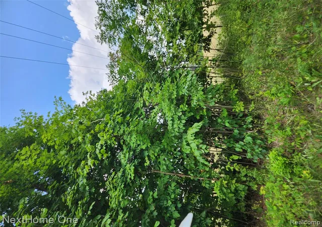 Photo 3 of Land for sale at 00 Musson Rd, Howell, MI 48855 | MLS# 61023534 | Listing updated on 2026-08-23