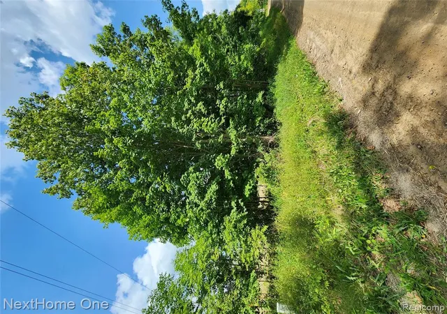 Photo 3 of Land for sale at 00 Musson Rd, Howell, MI 48855 | MLS# 61023534 | Listing updated on 2026-08-23
