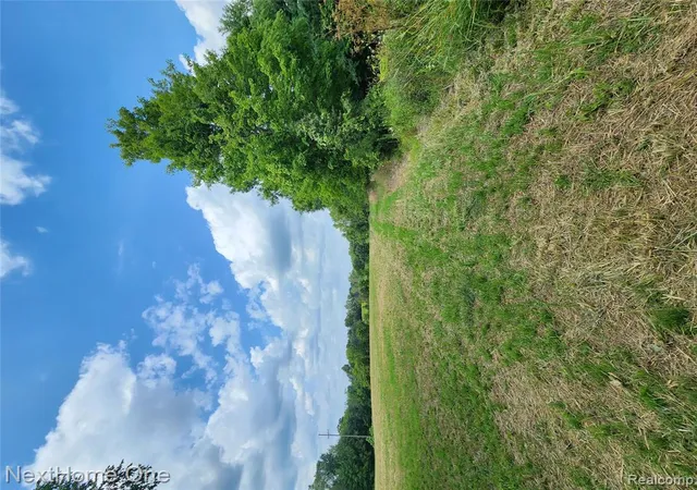 Photo 4 of Land for sale at 00 Musson Rd, Howell, MI 48855 | MLS# 61023534 | Listing updated on 2026-08-23