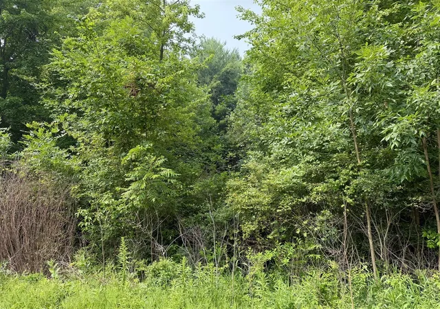 Photo 2 of Land for sale at V/l 70444 16th Avenue, South Haven, MI 49090 | MLS# 70547081 | Listing updated on 2026-07-22