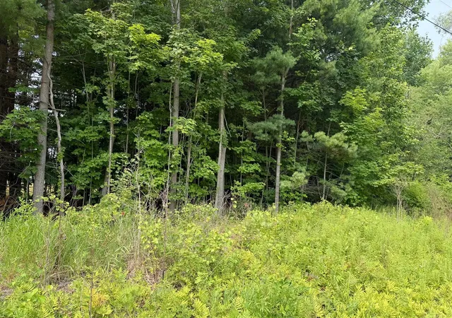 Photo 3 of Land for sale at V/l 70444 16th Avenue, South Haven, MI 49090 | MLS# 70547081 | Listing updated on 2026-07-22