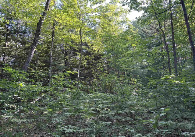 Photo 20 of Land for sale at Parcel B M 553 Hwy, Gwinn, MI 49841 | MLS# 50196498 | Listing updated on 2026-07-28