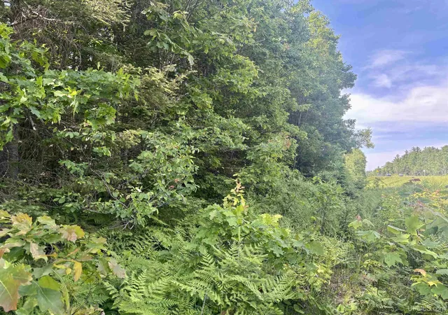 Photo 3 of Land for sale at Parcel B M 553 Hwy, Gwinn, MI 49841 | MLS# 50196498 | Listing updated on 2026-07-28