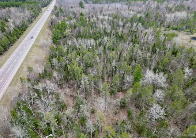 Photo 4 of Land for sale at Parcel B M 553 Hwy, Gwinn, MI 49841 | MLS# 50196498 | Listing updated on 2026-07-28