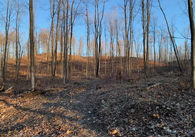 Land for sale at Chief ''e'' Rd, Bear Lake, MI 49614 | MLS# 70478673