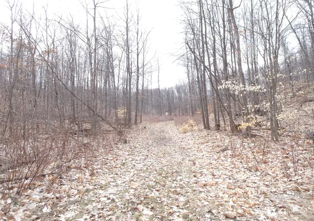 Photo 1 of Land for sale at Chief ''e'' Rd, Bear Lake, MI 49614 | MLS# 70478673 | Listing updated on 2025-12-26