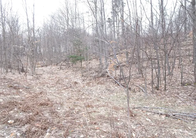 Photo 2 of Land for sale at Chief ''e'' Rd, Bear Lake, MI 49614 | MLS# 70478673 | Listing updated on 2025-12-26