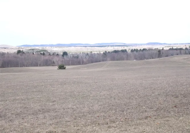 Photo 3 of Land for sale at Chief ''e'' Rd, Bear Lake, MI 49614 | MLS# 70478673 | Listing updated on 2025-12-26