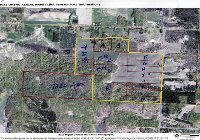 Photo 4 of Land for sale at Chief ''e'' Rd, Bear Lake, MI 49614 | MLS# 70478673 | Listing updated on 2025-12-26