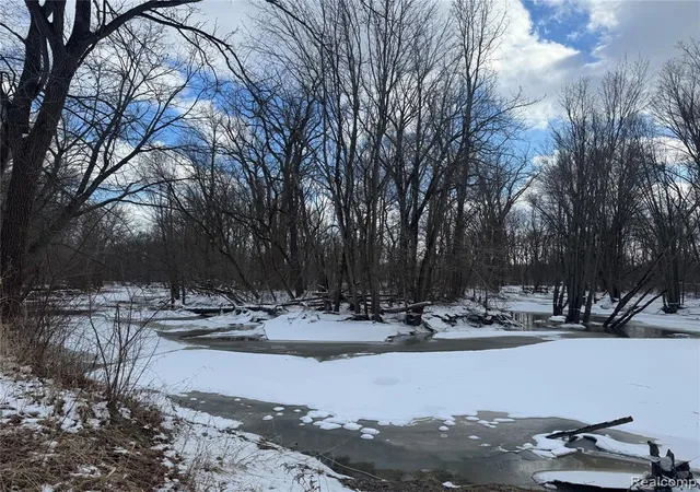 Photo 1 of Land for sale at 01 Remer Rd, East China, MI 48054 | MLS# 60971154 | Listing updated on 2026-08-04