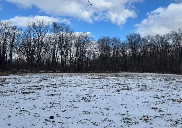 Photo 2 of Land for sale at 01 Remer Rd, East China, MI 48054 | MLS# 60971154 | Listing updated on 2026-08-04