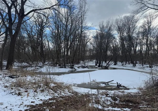 Photo 3 of Land for sale at 01 Remer Rd, East China, MI 48054 | MLS# 60971154 | Listing updated on 2026-08-04