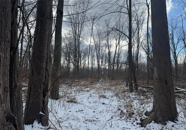 Photo 3 of Land for sale at 01 Remer Rd, East China, MI 48054 | MLS# 60971154 | Listing updated on 2026-08-04