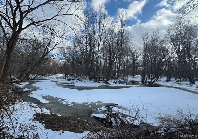 Photo 4 of Land for sale at 01 Remer Rd, East China, MI 48054 | MLS# 60971154 | Listing updated on 2026-08-04