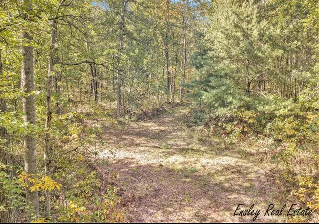 Land for sale at 10138 Woodland Ln, Newaygo, MI 49337-8686 | MLS# 70555615
