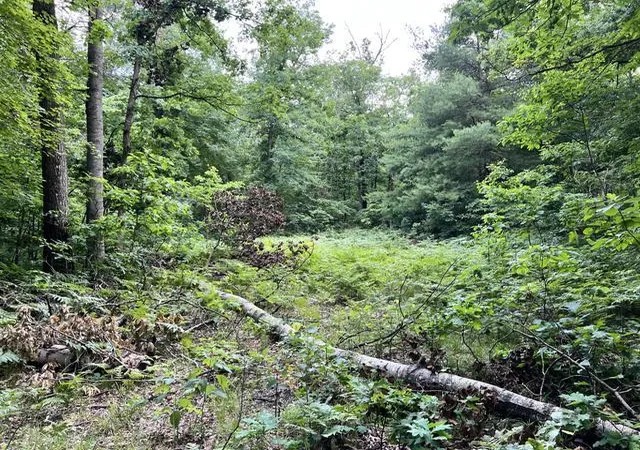 Photo 3 of Land for sale at 10138 Woodland Ln, Newaygo, MI 49337 | MLS# 70555615 | Listing updated on 2026-09-03