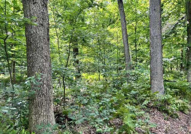 Photo 3 of Land for sale at 10138 Woodland Ln, Newaygo, MI 49337 | MLS# 70555615 | Listing updated on 2026-09-03