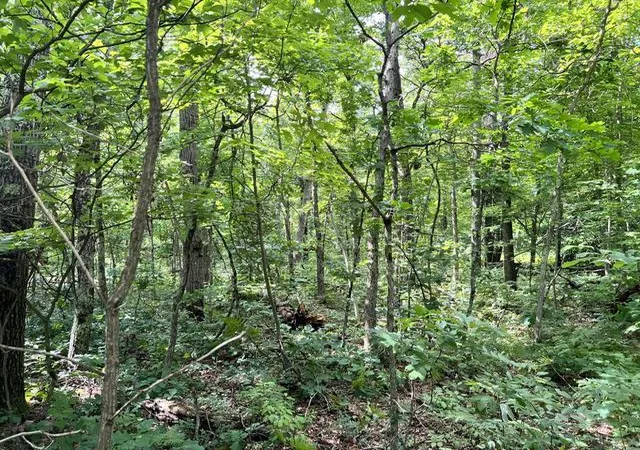 Photo 4 of Land for sale at 10138 Woodland Ln, Newaygo, MI 49337 | MLS# 70555615 | Listing updated on 2026-09-03