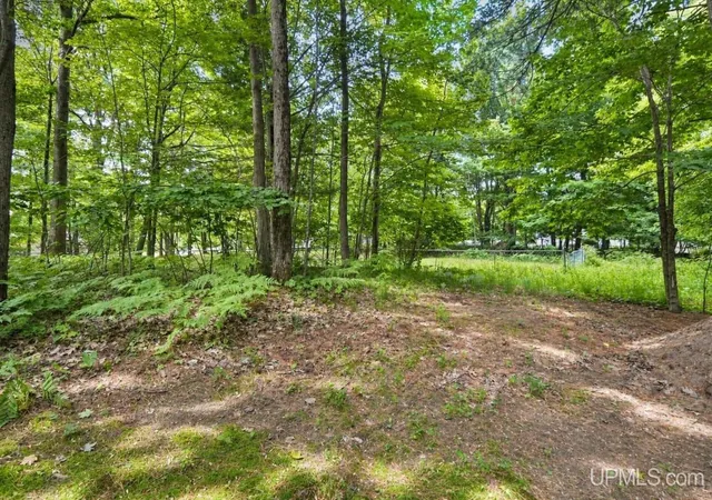 Homes for sale in Marquette, MI | 1695 Vandenboom Ave, Marquette, MI 49855 | MLS# 50212274