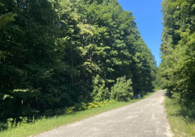Homes for sale in Elmira, MI | Lot 113 Forestgrove, Elmira, MI 49730 | MLS# 80049238