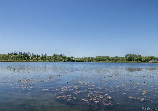 Photo 3 of Land for sale at Lot 36   Pinemont, Brighton, MI 48116 | MLS# 20682083 | Listing updated on 2026-07-06