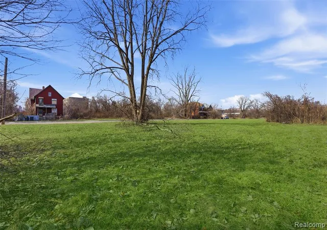 4th image of 540 Concord St, Detroit, MI 48207 | MLS# 60975380