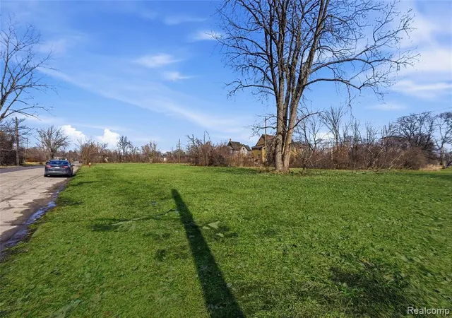 5th image of 540 Concord St, Detroit, MI 48207 | MLS# 60975380