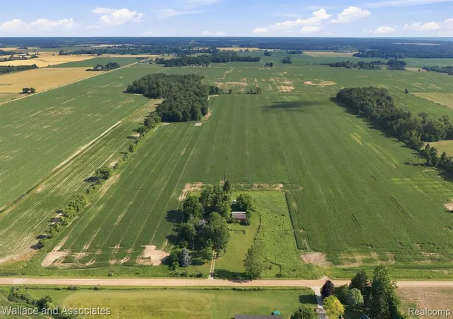 5th image of 5949 Roach Rd, Croswell, MI 48422 | MLS# 61007951