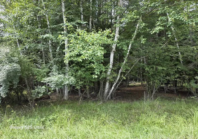 Photo 1 of Land for sale at Lot 41 Sandbridge Ct, Gladwin, MI 48624 | MLS# 50217813 | Listing updated on 2026-08-07
