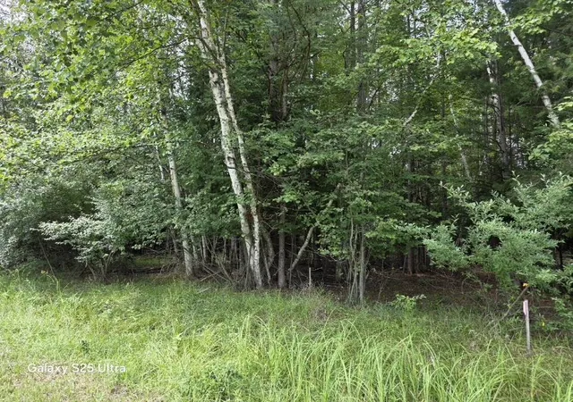 Photo 2 of Land for sale at Lot 41 Sandbridge Ct, Gladwin, MI 48624 | MLS# 50217813 | Listing updated on 2026-08-07