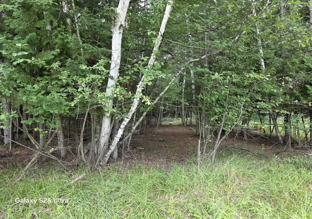 Photo 3 of Land for sale at Lot 41 Sandbridge Ct, Gladwin, MI 48624 | MLS# 50217813 | Listing updated on 2026-08-07
