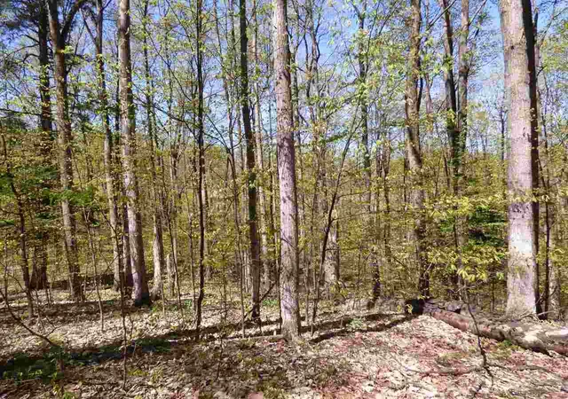 3rd image of Parcel B Broken Arrow, Bellaire, MI 49615 | MLS# 80003092