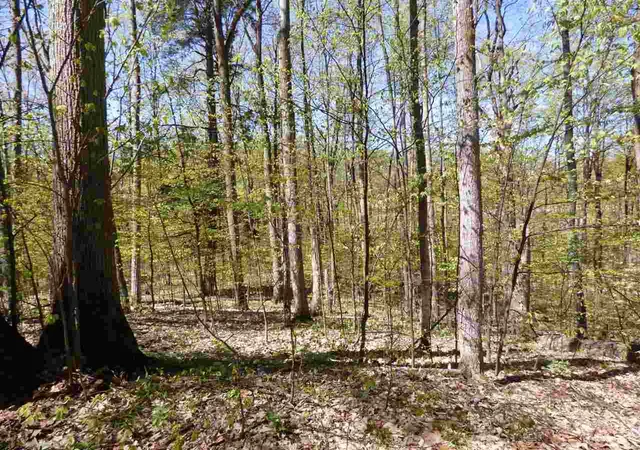 5th image of Parcel B Broken Arrow, Bellaire, MI 49615 | MLS# 80003092