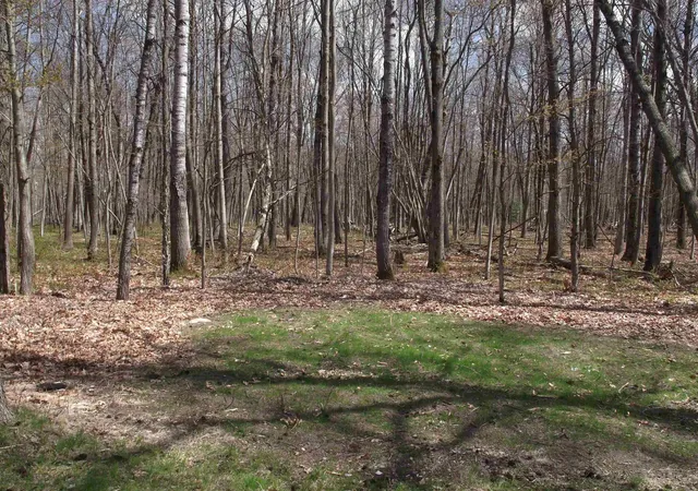 2nd image of 2221 Grass Lake Ave, Lake, MI 48632