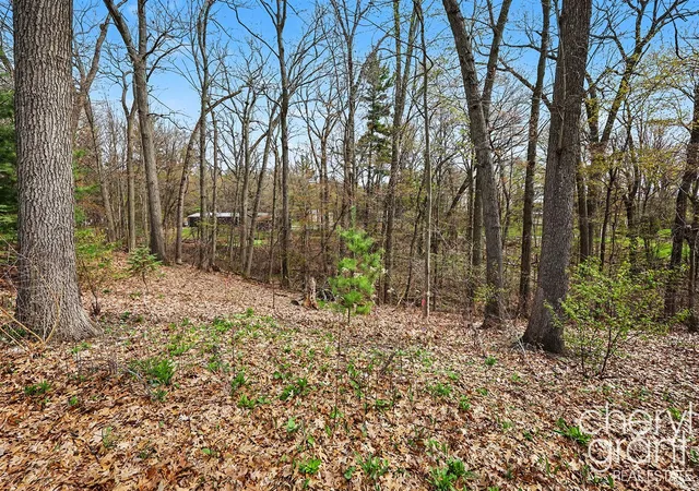 3rd image of 7406 Ravine Dr, Belding, MI 48809 | MLS# 70527901