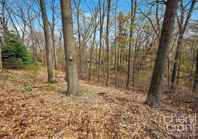 5th image of 7406 Ravine Dr, Belding, MI 48809 | MLS# 70527901