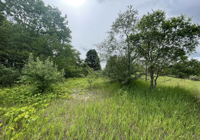 Photo 1 of Land for sale at 183a Smith Rd, Traverse City, MI 49696 | MLS# 80069878 | Listing updated on 2026-06-21