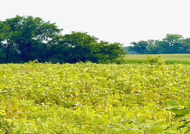 Photo 2 of Land for sale at 0 Carpenter Rd, Three Oaks, MI 49128 | MLS# 70537083 | Listing updated on 2026-08-19