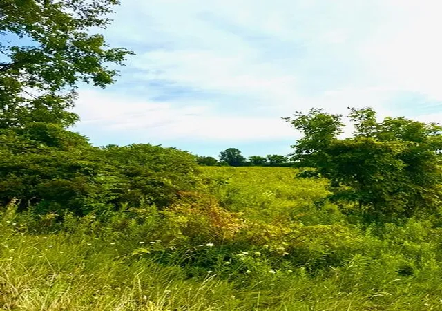 Photo 3 of Land for sale at 0 Carpenter Rd, Three Oaks, MI 49128 | MLS# 70537083 | Listing updated on 2026-08-19