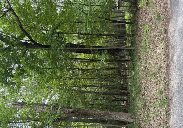1st image of Lot 127 Wayne Rd, Pentwater, MI 49449 | MLS# 70542109