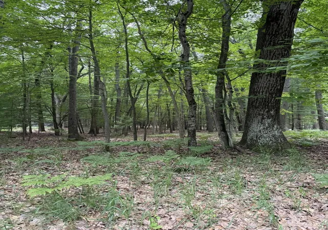 2nd image of Lot 127 Wayne Rd, Pentwater, MI 49449 | MLS# 70542109