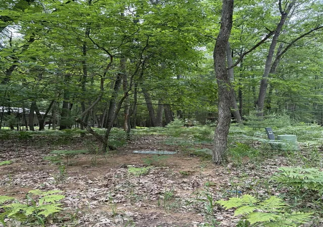 3rd image of Lot 127 Wayne Rd, Pentwater, MI 49449 | MLS# 70542109